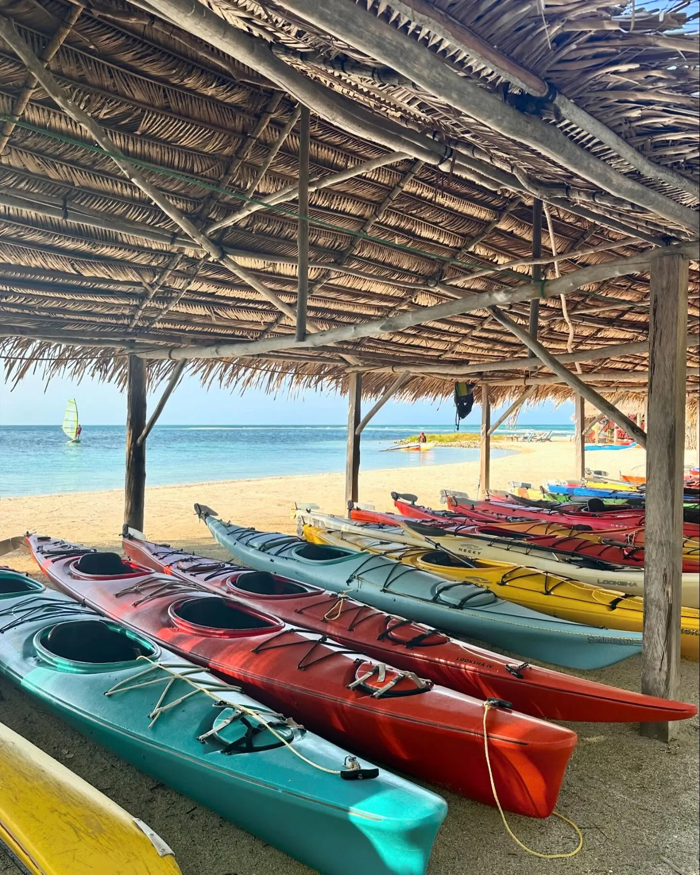 Kayaks lined up in the shade. Kayaks lined up in the shade.