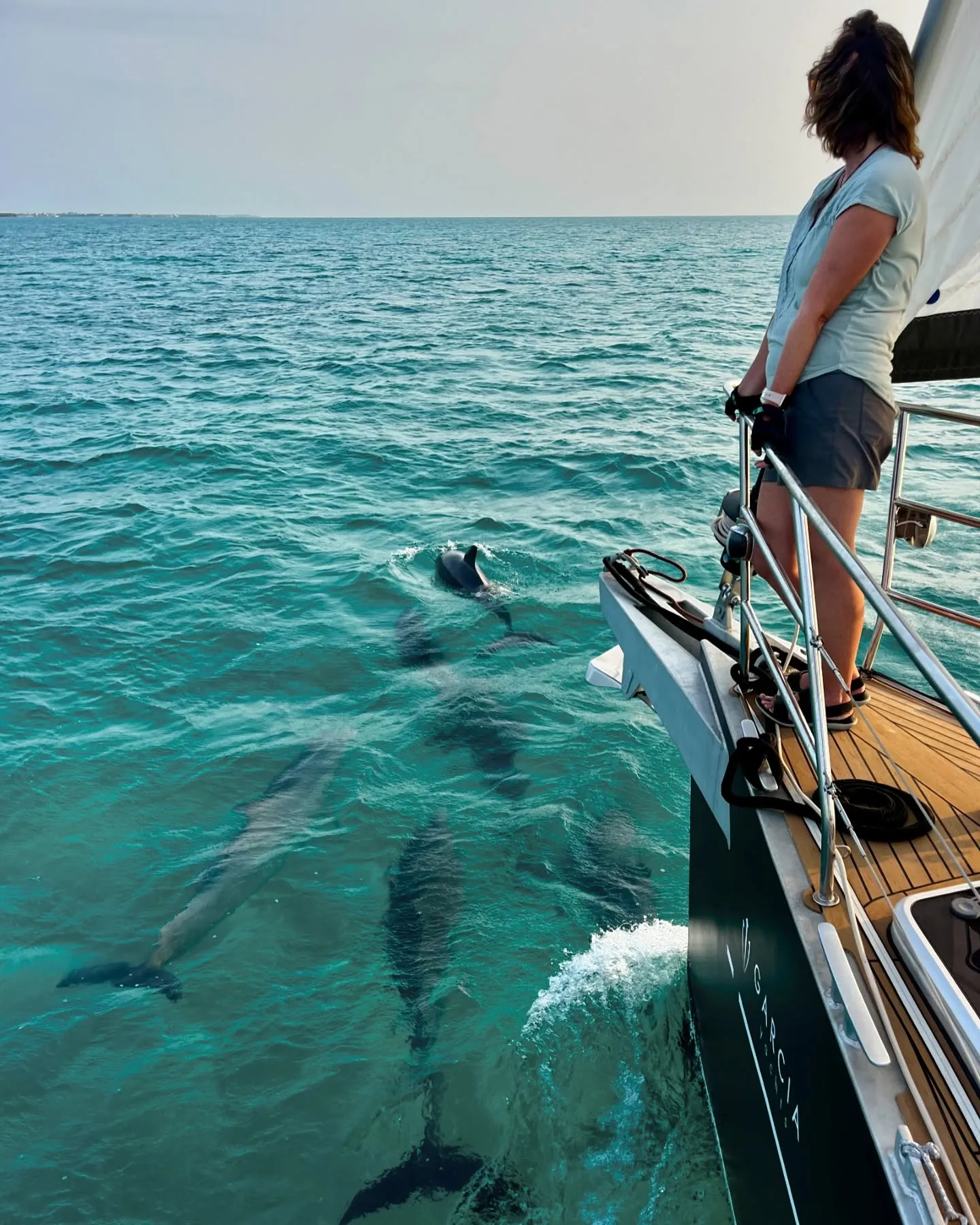 Off to play with the dolphins. Off to play with the dolphins.