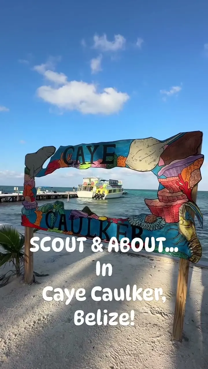 Scout and about in Caye Caulker. Scout and about in Caye Caulker.