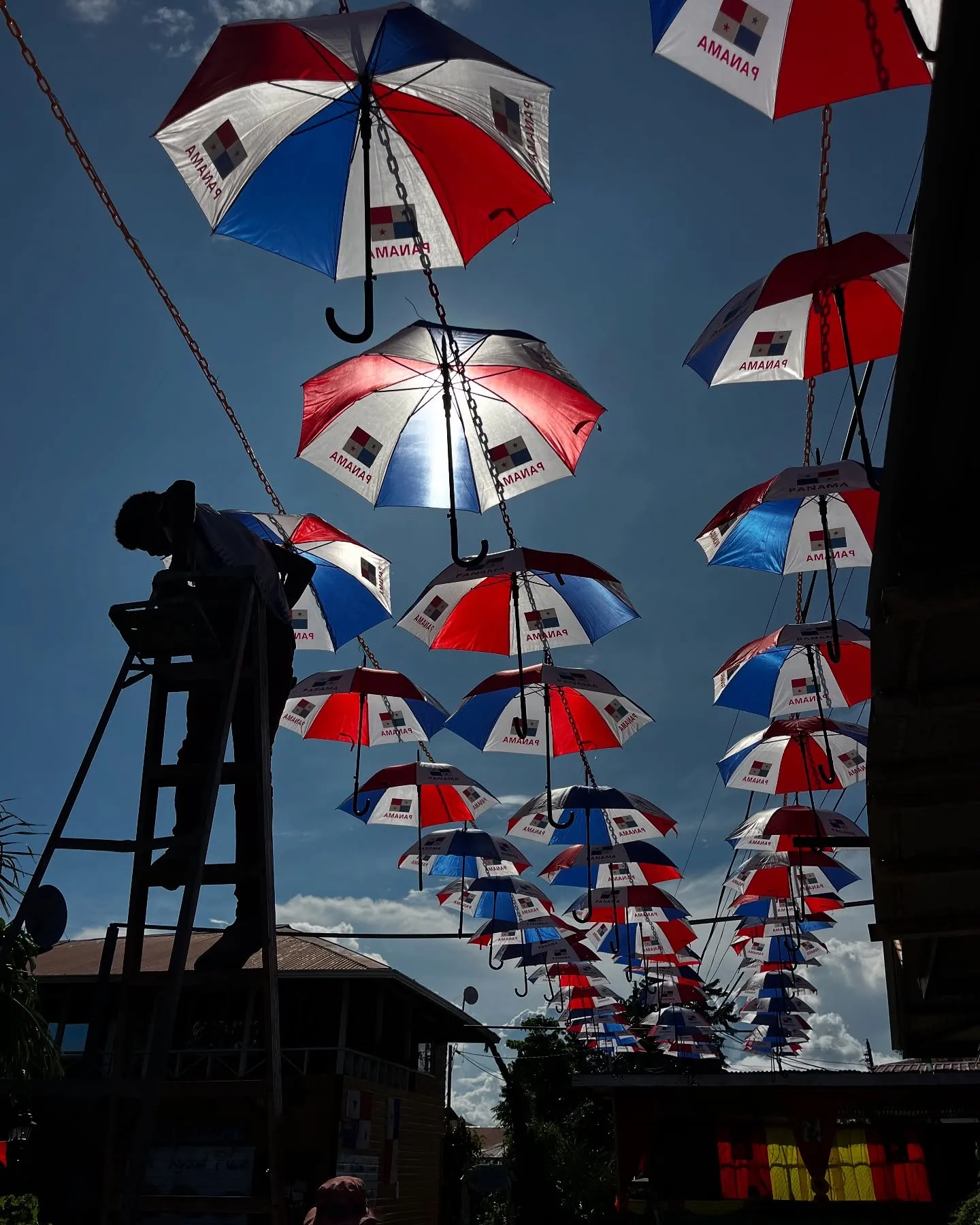 Panamanian umbrellas. Panamanian umbrellas.