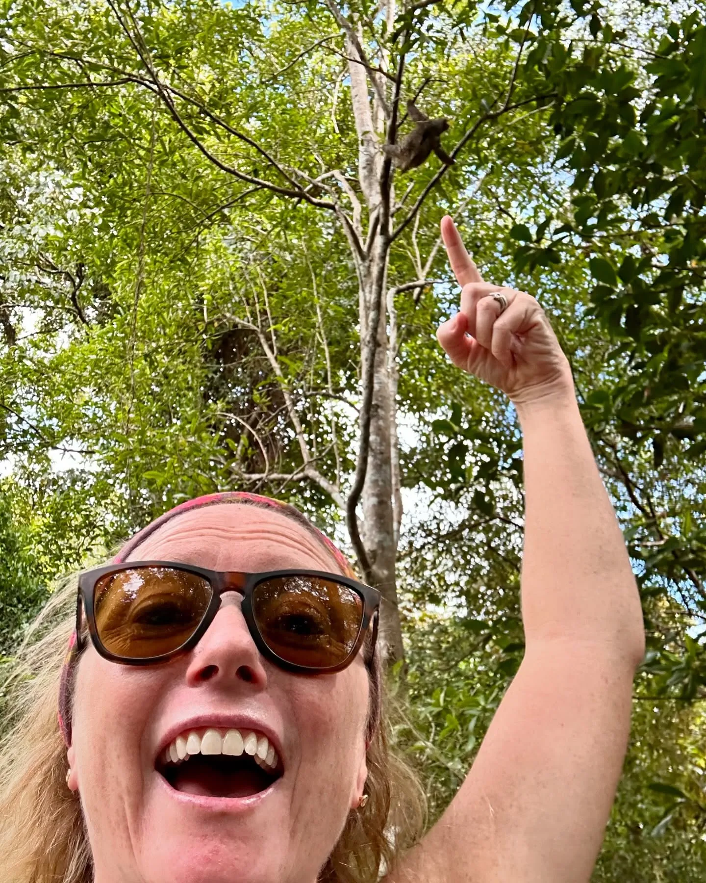 Look, up in the branches! Look, up in the branches!