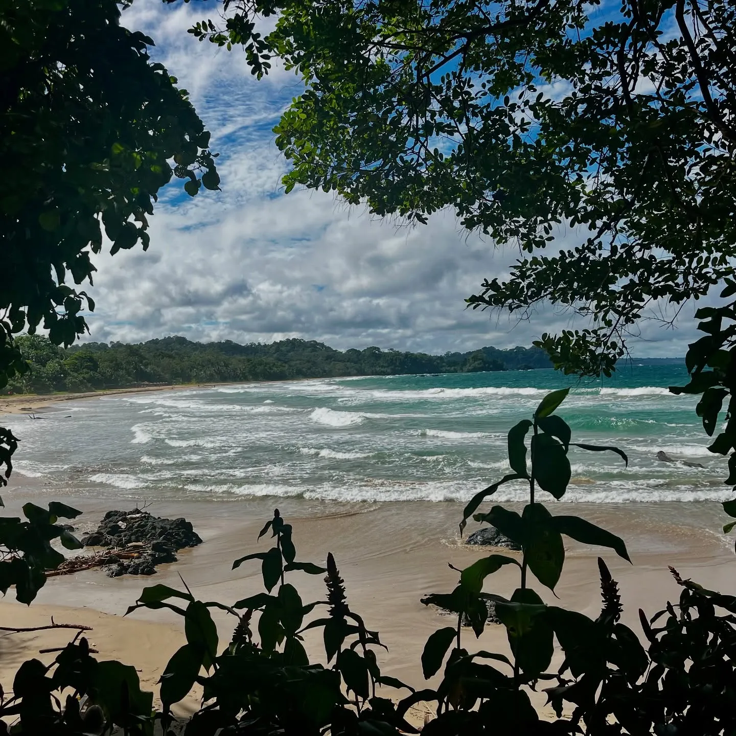 Surf and rainforest on the north coast of Bastimentos. Surf and rainforest on the north coast of Bastimentos.