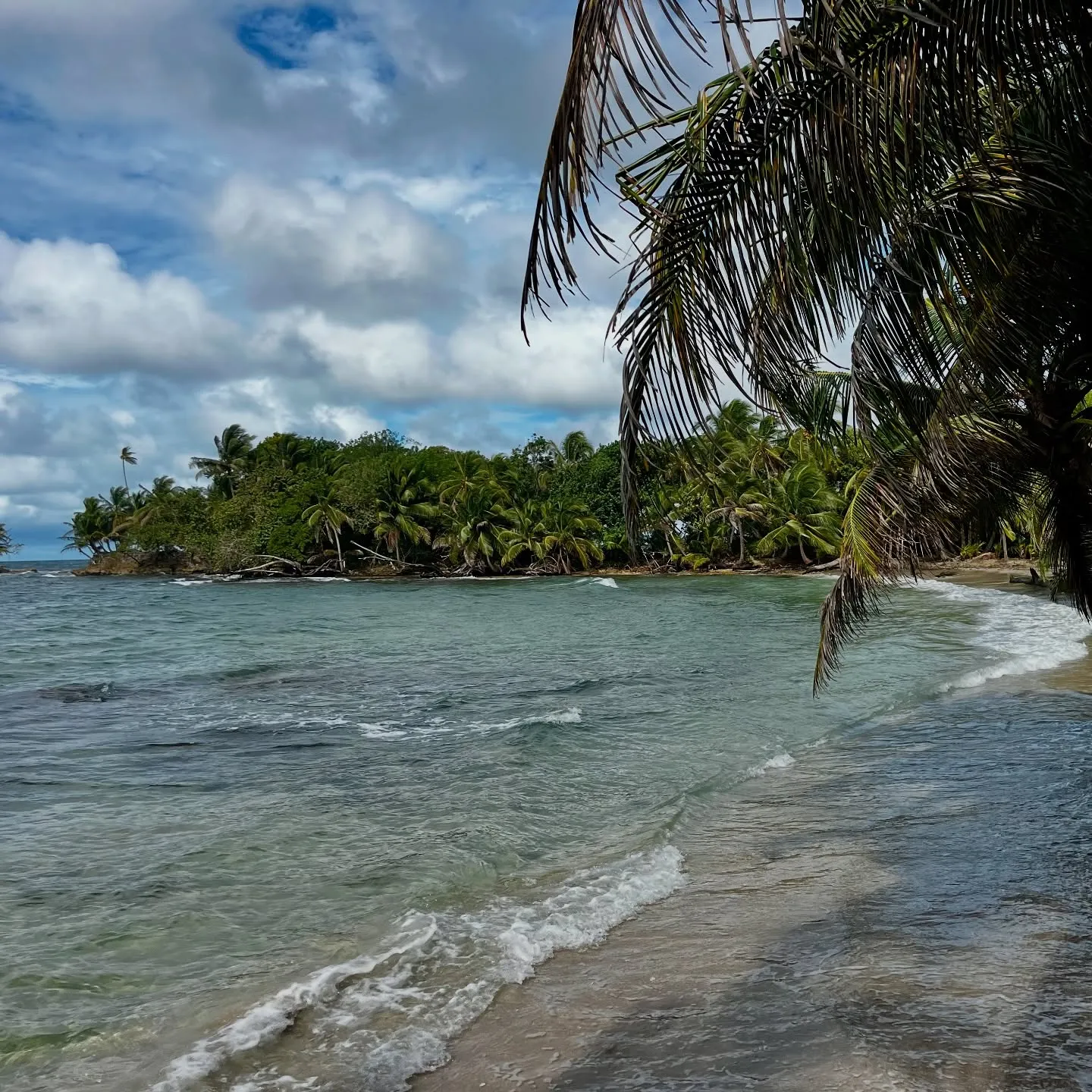 Palm-fringed coves and rolling surf. Palm-fringed coves and rolling surf.