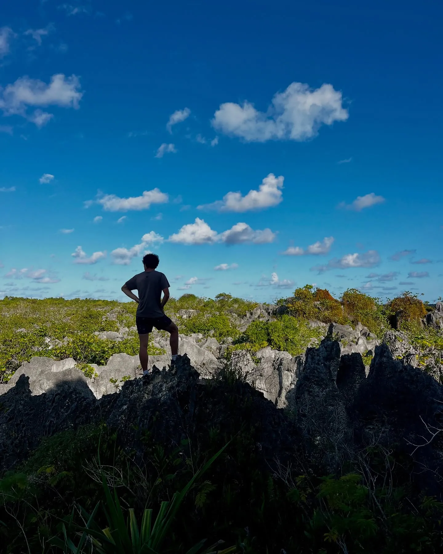 Makatea's raised coral cliffs and phosphate mining ruins. Makatea's raised coral cliffs and phosphate mining ruins.