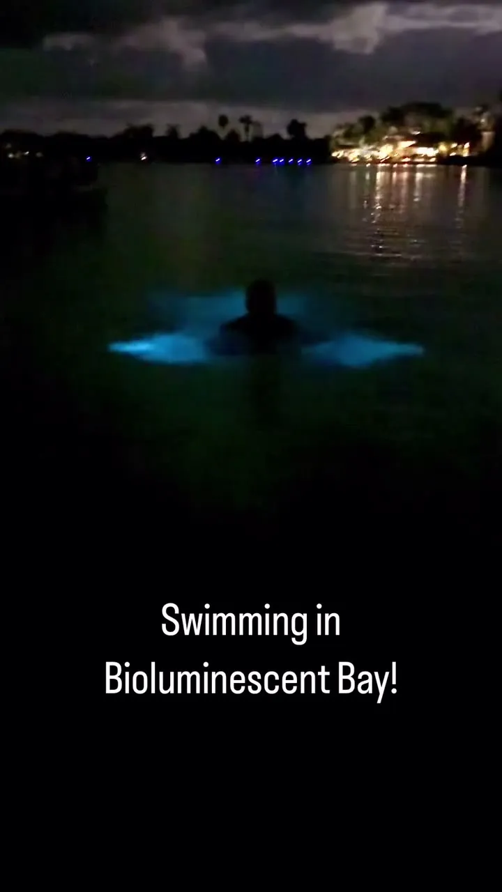A night swim in the Bioluminescent Bay.