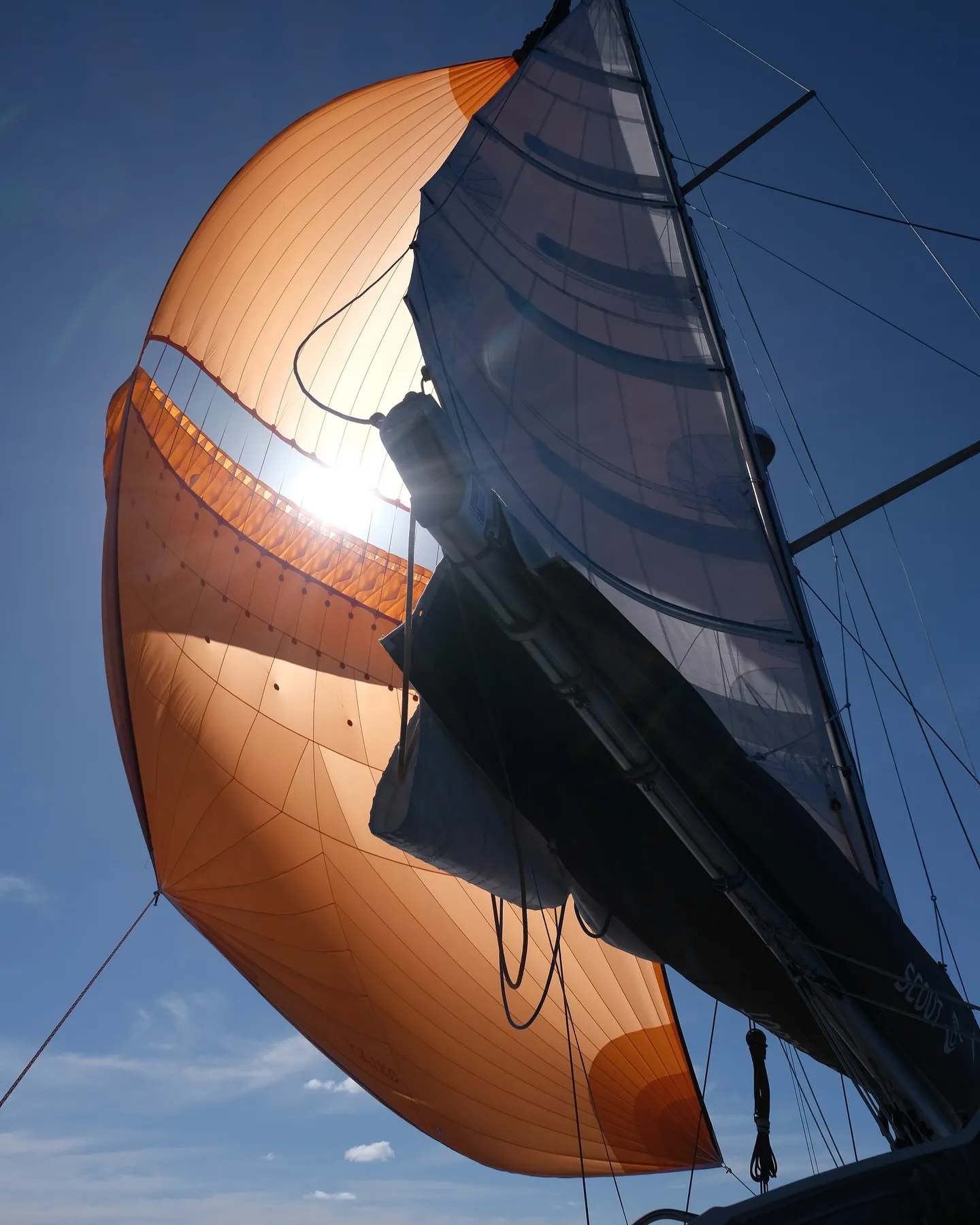 Flying the spinnaker in those first sunny days. Flying the spinnaker in those first sunny days.