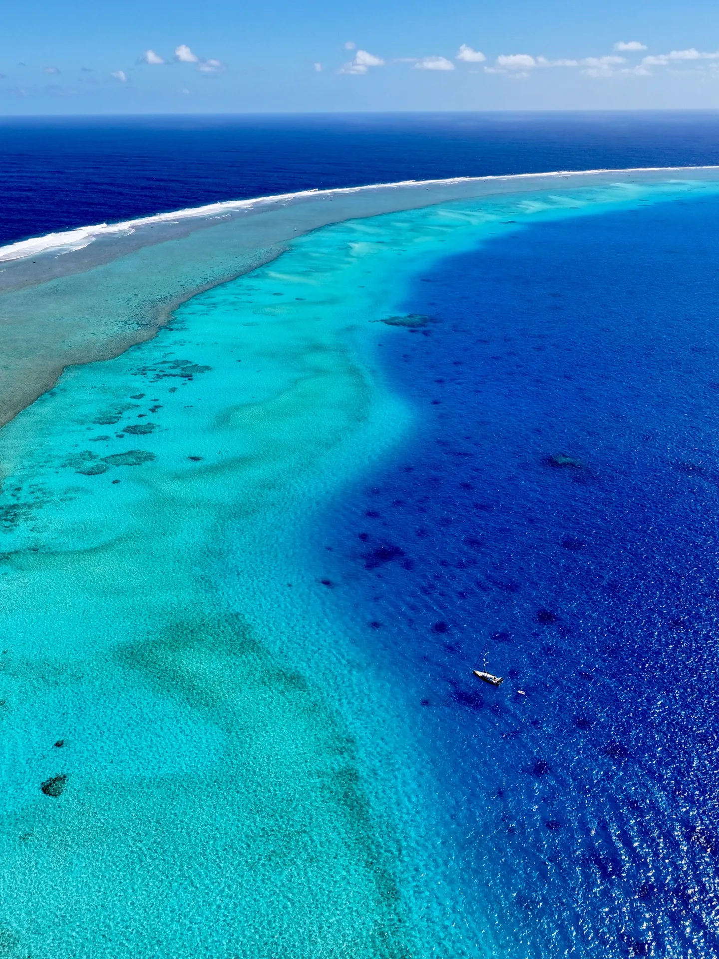 A week relaxing in Minerva Reef. A week relaxing in Minerva Reef.