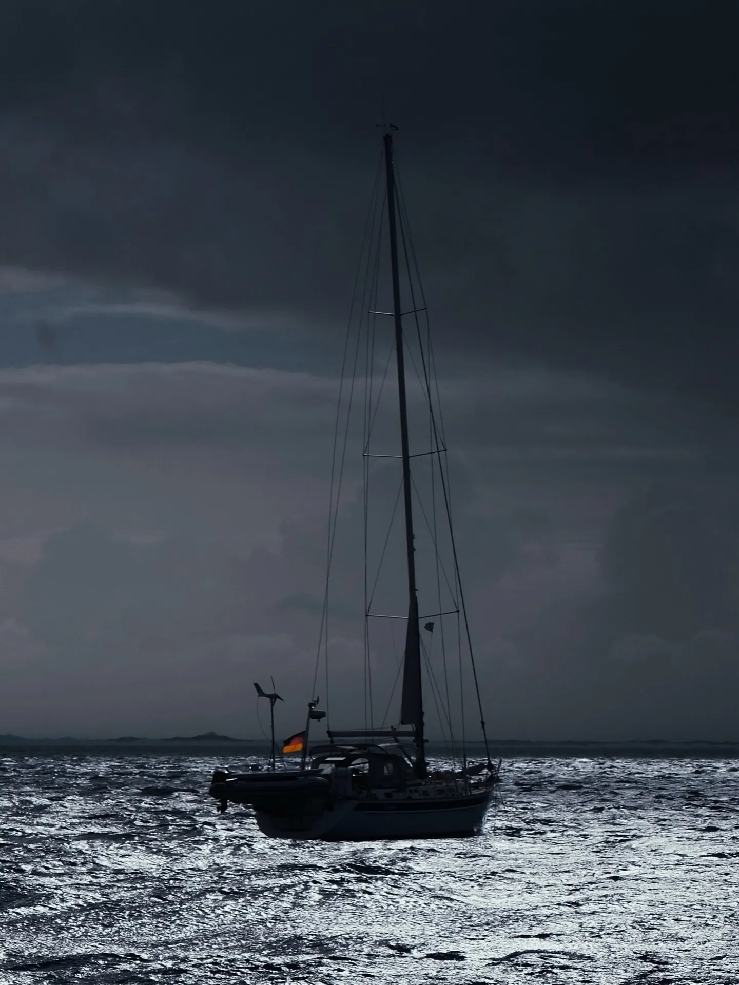 Flora under stormy skies. Flora under stormy skies.
