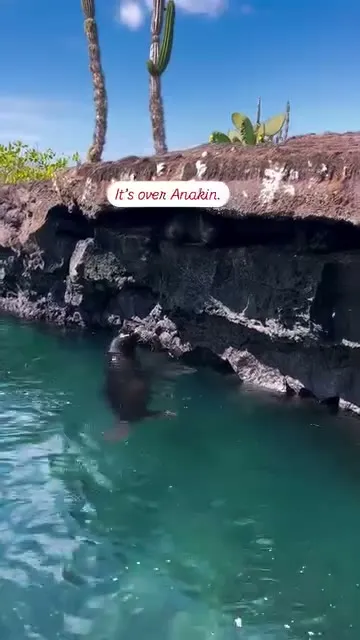 Only enough room in the lava tunnel for one.