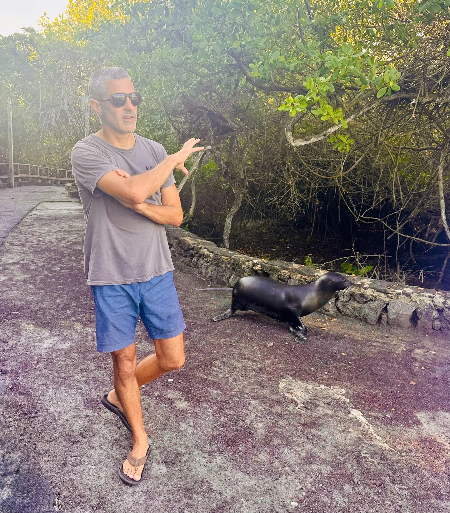 Walking the sea lion.