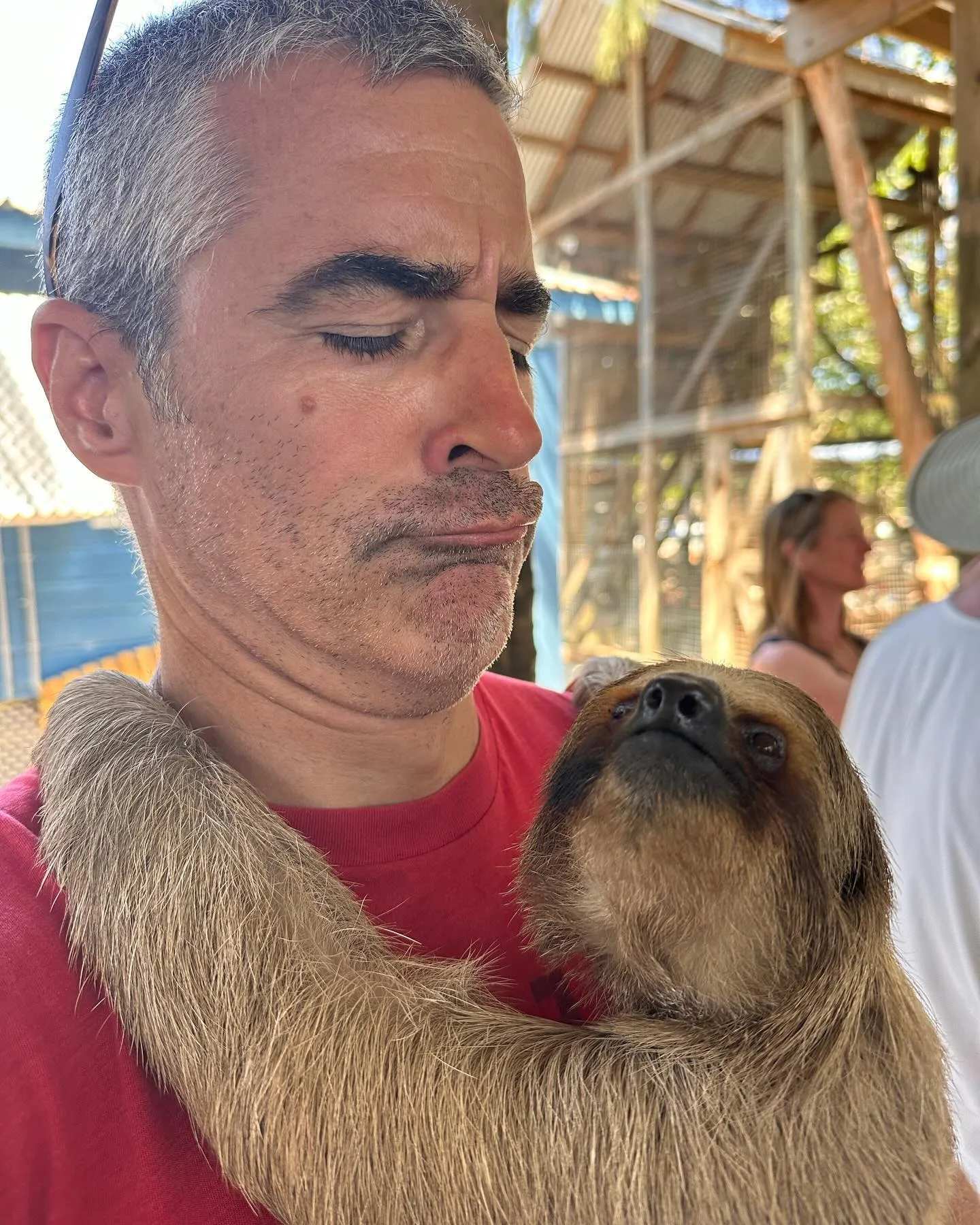 Up close with a rescued three-toed sloth and a scarlet macaw, Roatán.