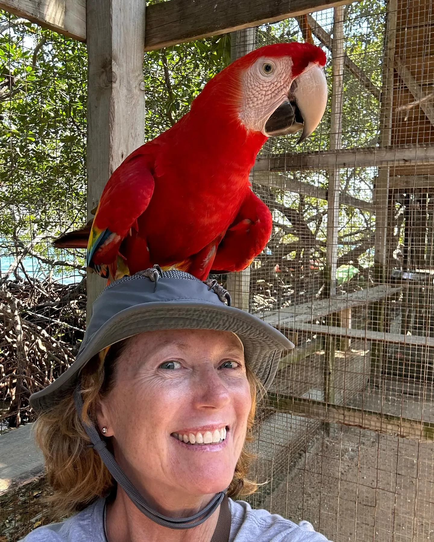 A new friend perched on Jayne's sun hat.