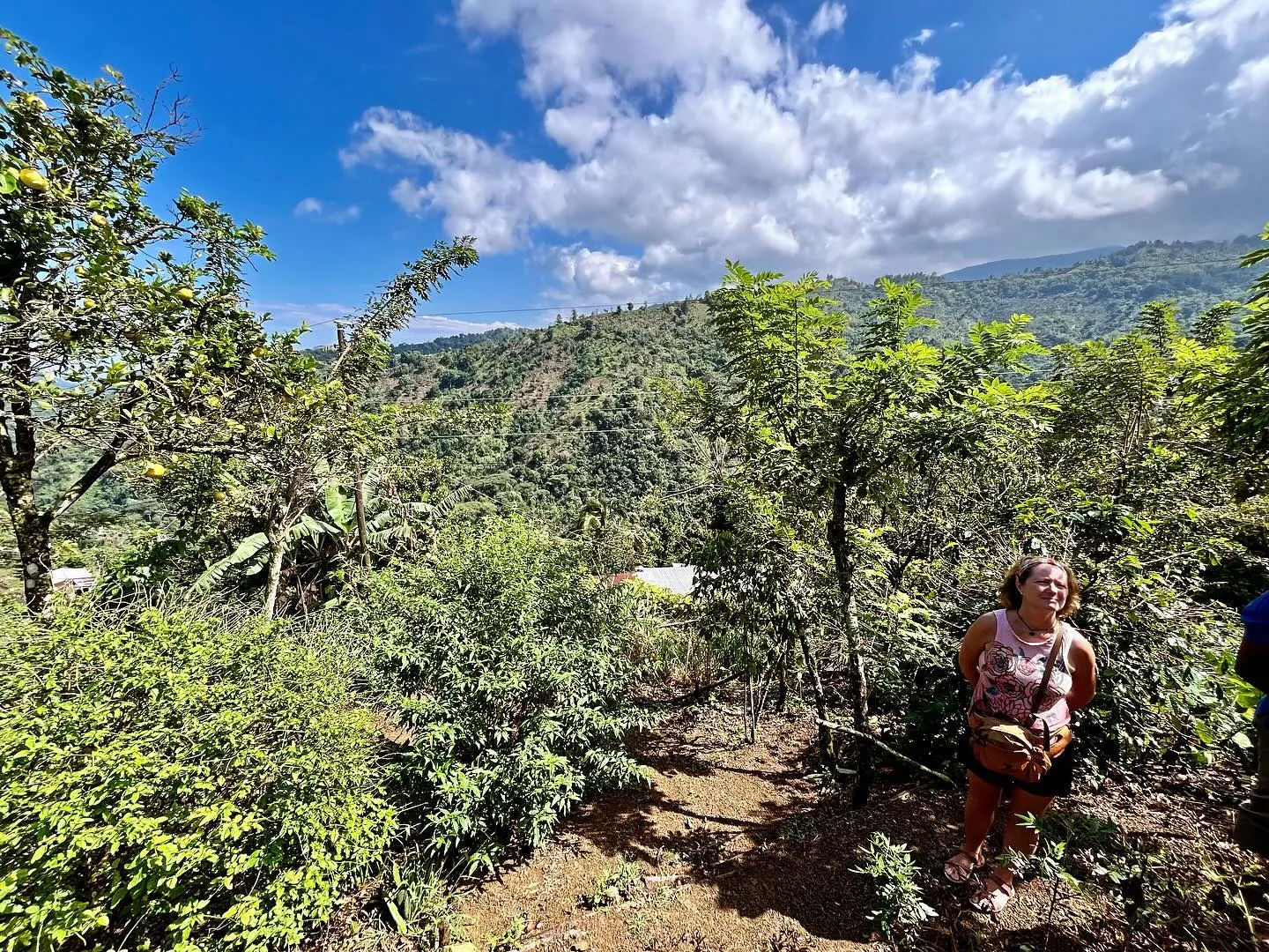 Walking the lush hillside plantation.
