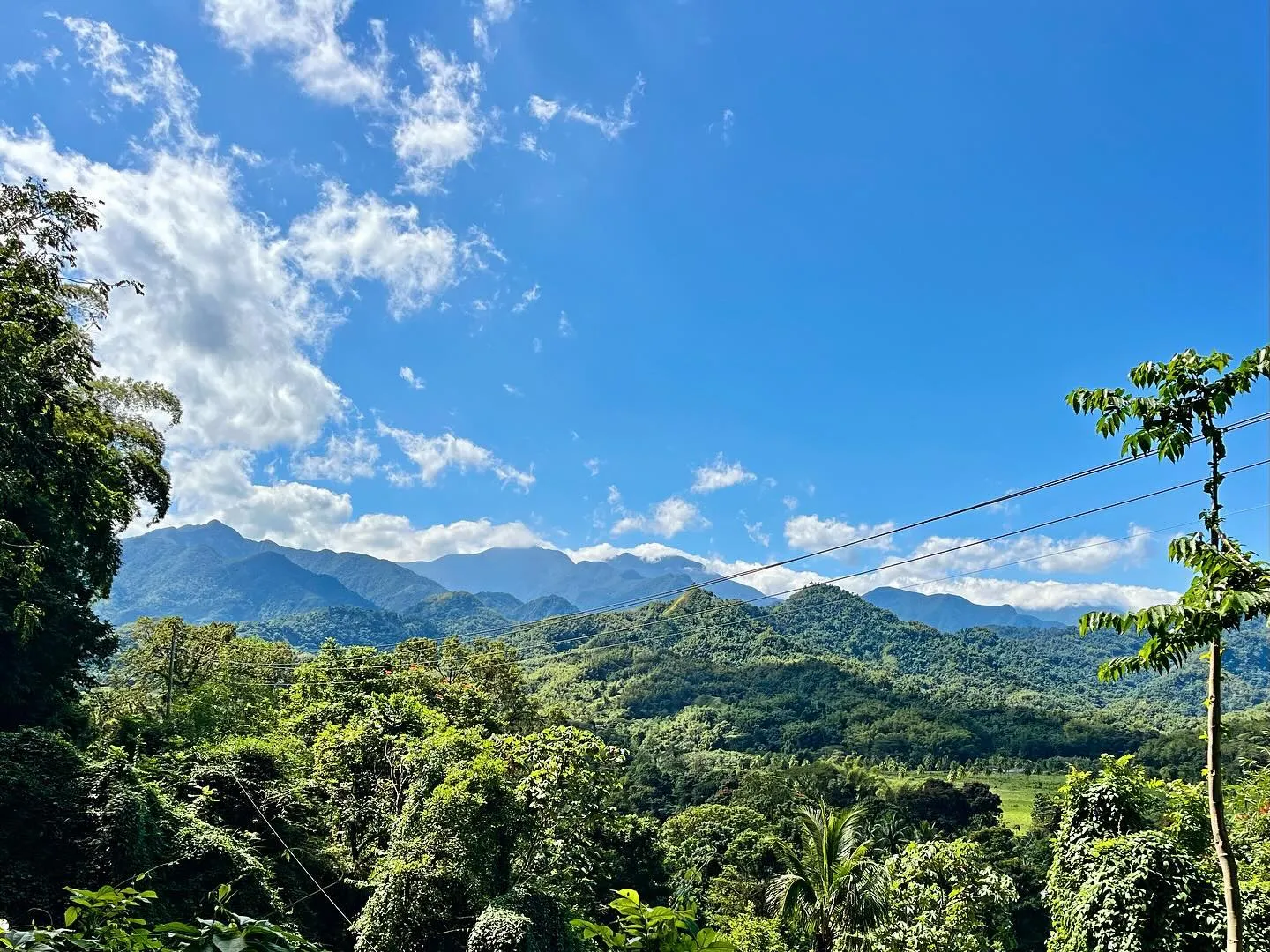 Green mountains stretching inland.