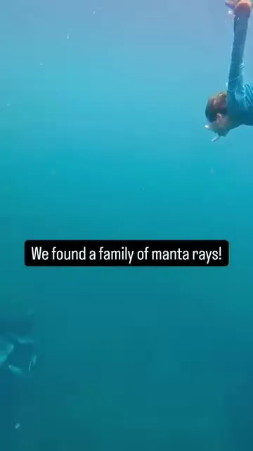 Swimming with huge manta rays at Ua Pou. Swimming with huge manta rays at Ua Pou.