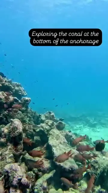 Snorkeling in The Marquesas. Snorkeling in The Marquesas.