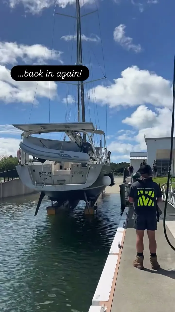 Scout goes back in the water. Scout goes back in the water.