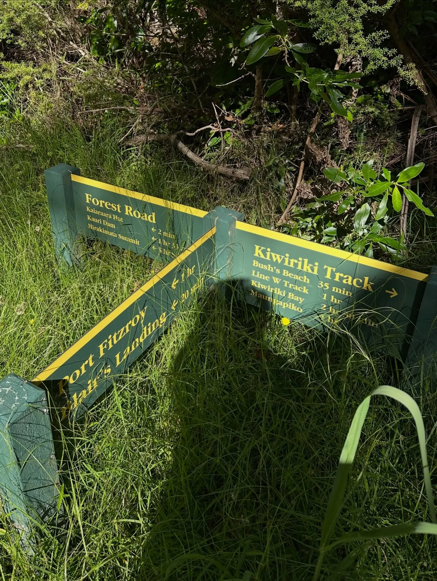 Plenty of trails to choose from. Plenty of trails to choose from.
