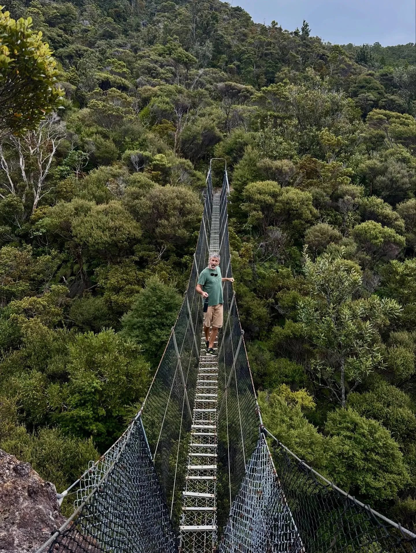 Crossing a swing bridge high above the bush. Crossing a swing bridge high above the bush.