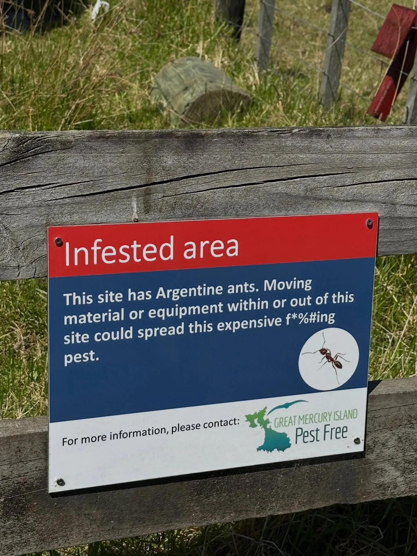 A cheeky warning about Argentine ants on Great Mercury. A cheeky warning about Argentine ants on Great Mercury.