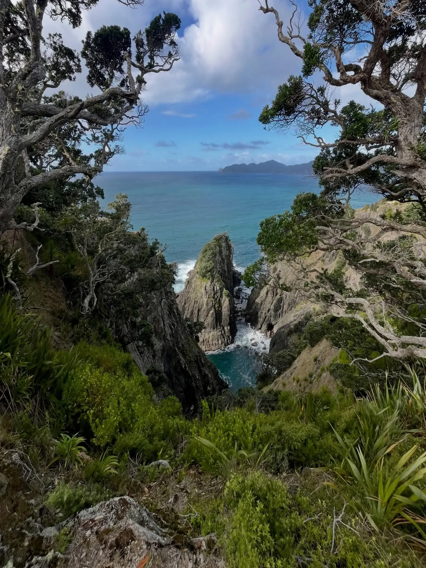 A peek at the ocean through the trees. A peek at the ocean through the trees.