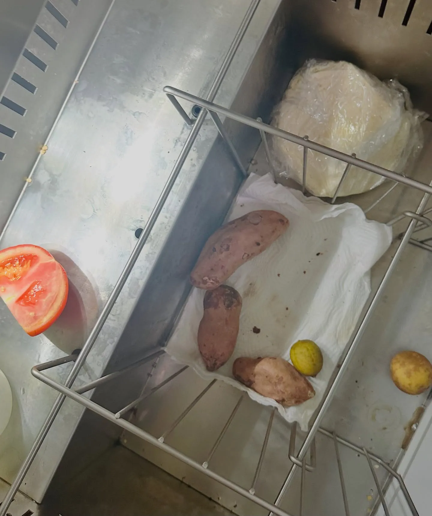 The fridge, in a sorry state.