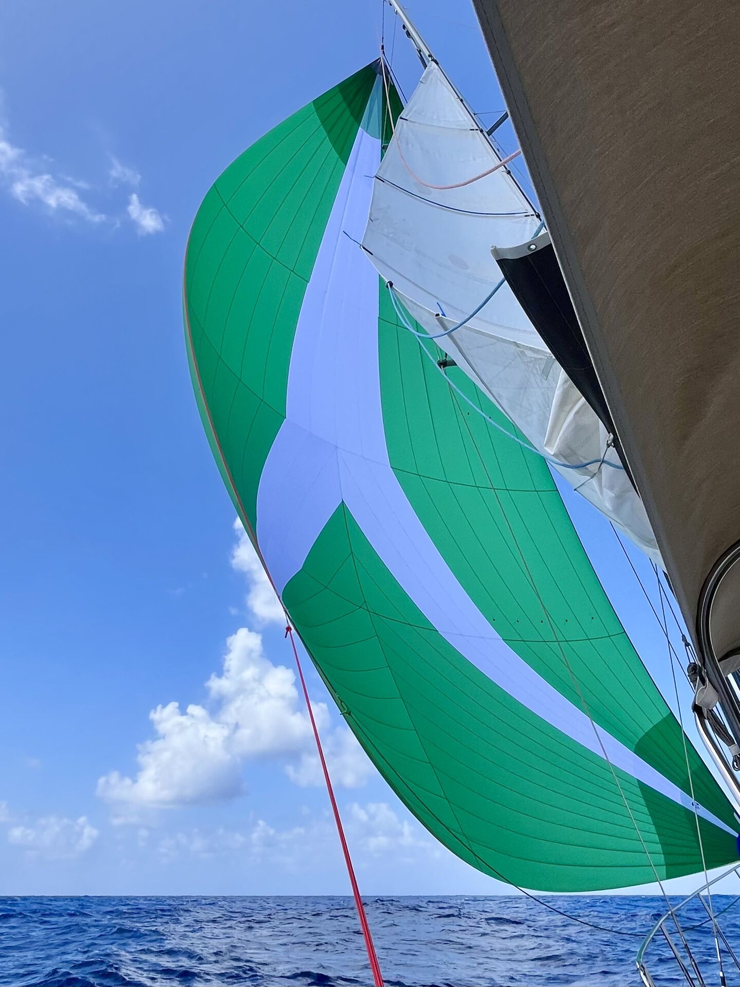 Testing out our new green goddess asymmetrical spinnaker just before it failed.