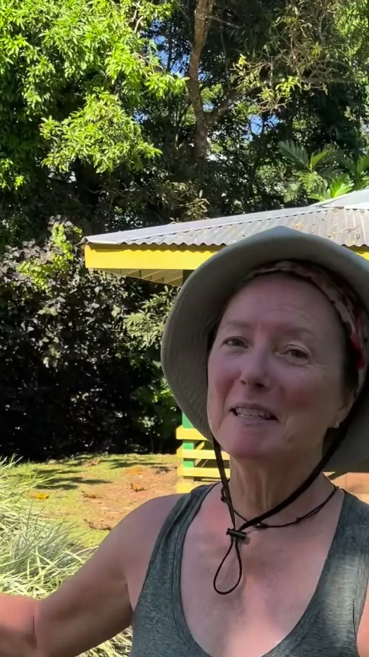 Climbing Mt Vaea to Robert Louis Stevenson's grave.