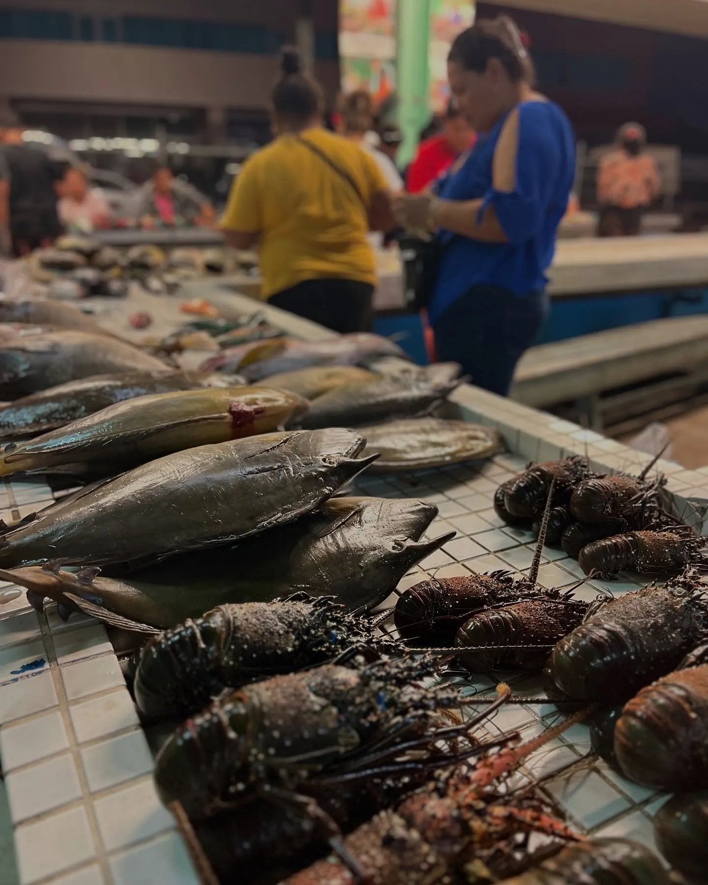 Lobsters and fresh fish at the Apia market.