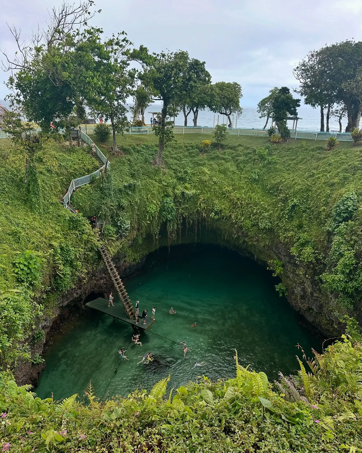 A swim at the bottom of a giant sinkhole.