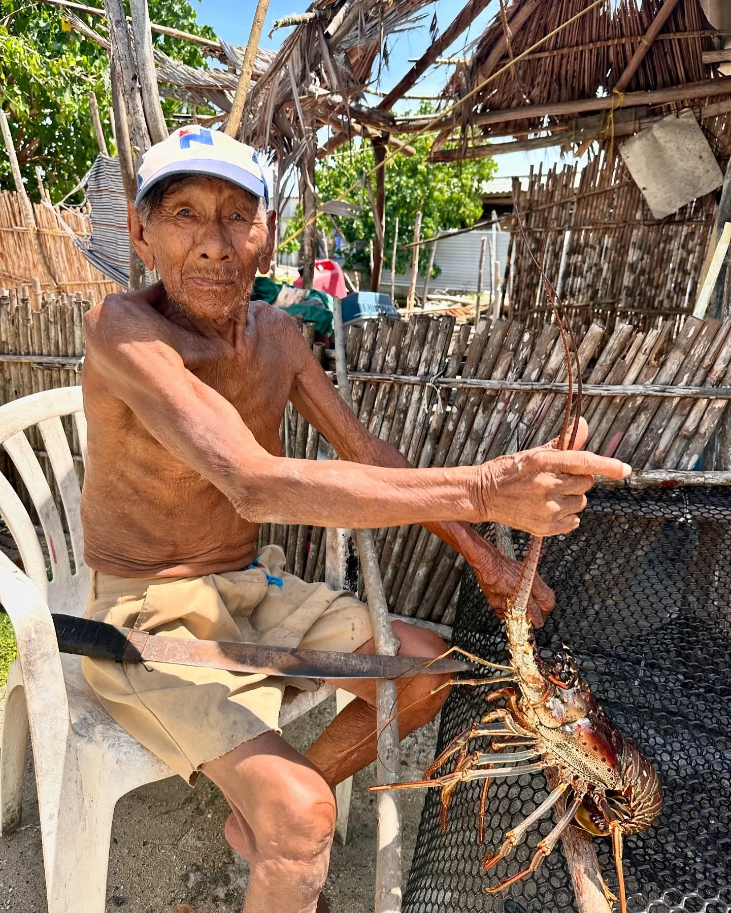 A fine lobster catch in the village. A fine lobster catch in the village.