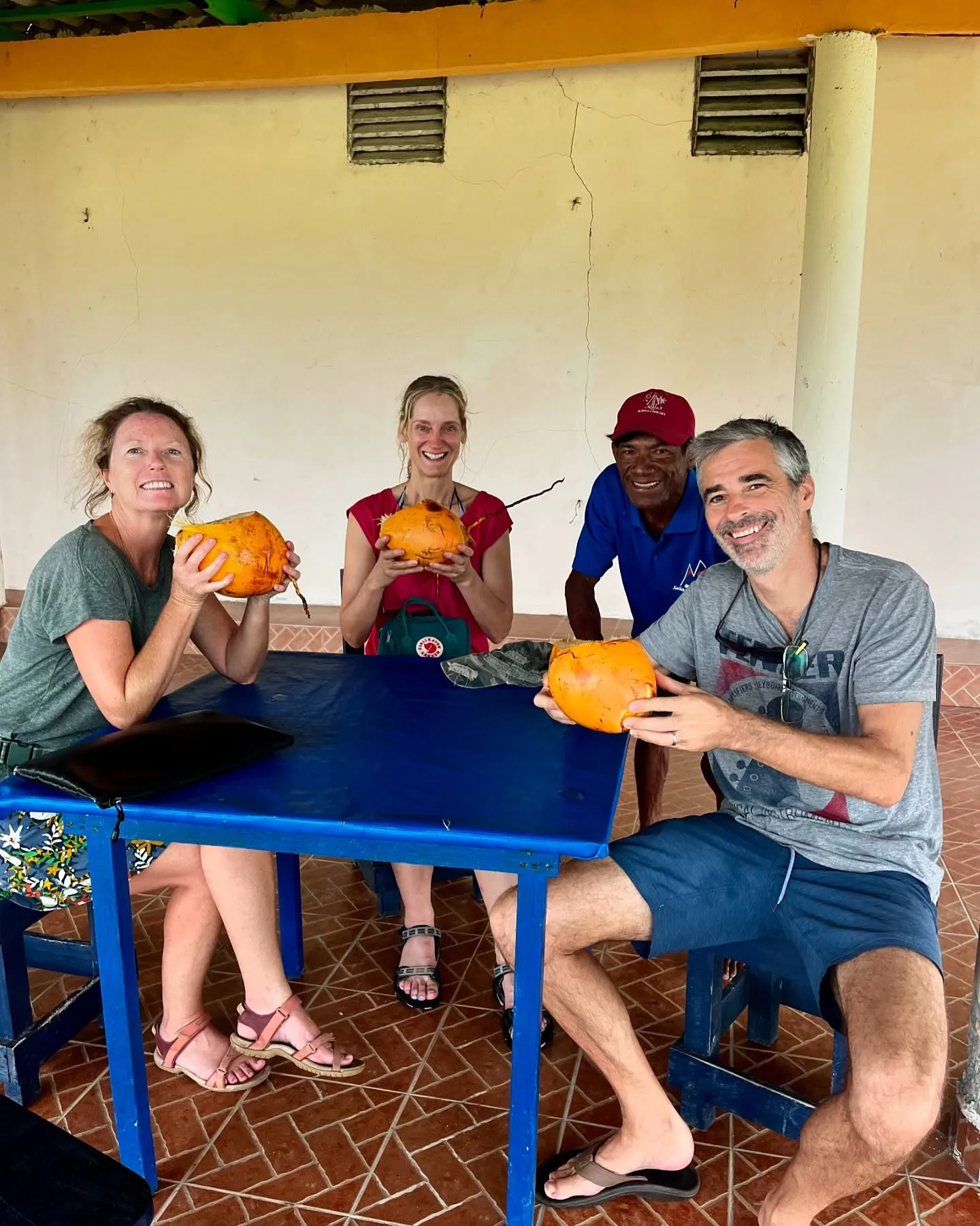 Fresh coconuts all round. Fresh coconuts all round.