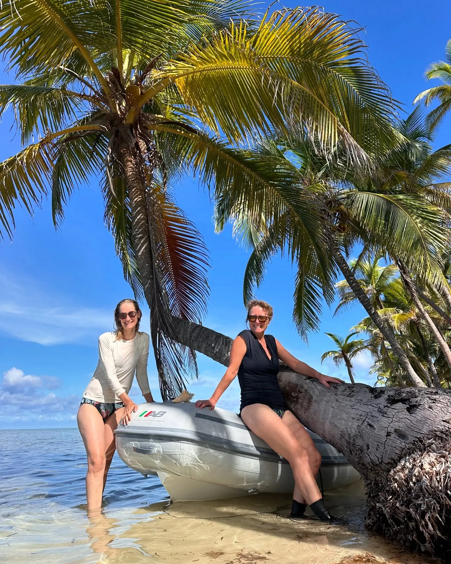 Lounging under a leaning palm. Lounging under a leaning palm.