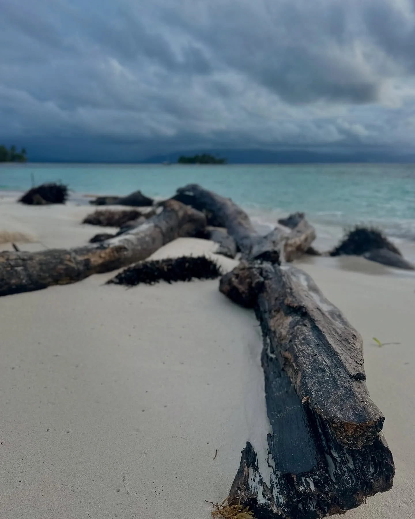 Driftwood and brooding skies. Driftwood and brooding skies.
