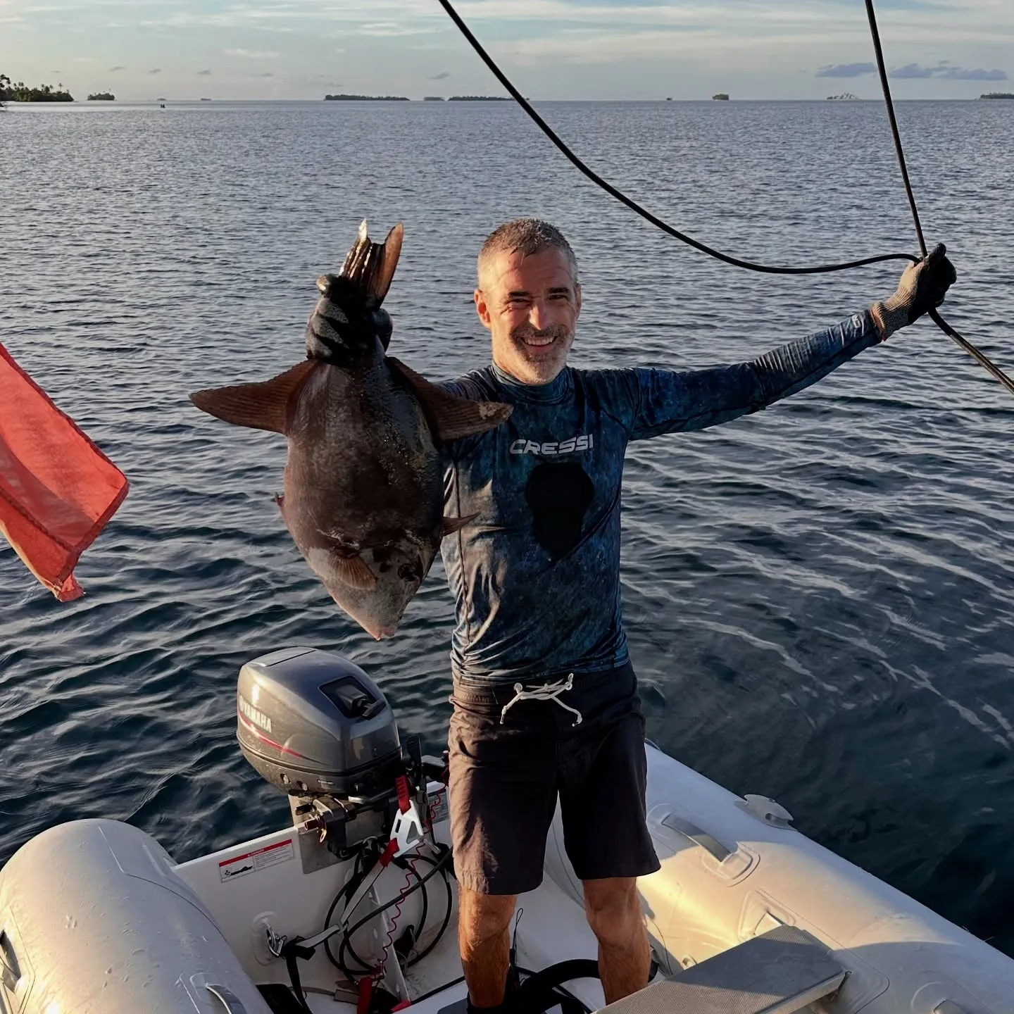Fresh from the reef. Fresh from the reef.