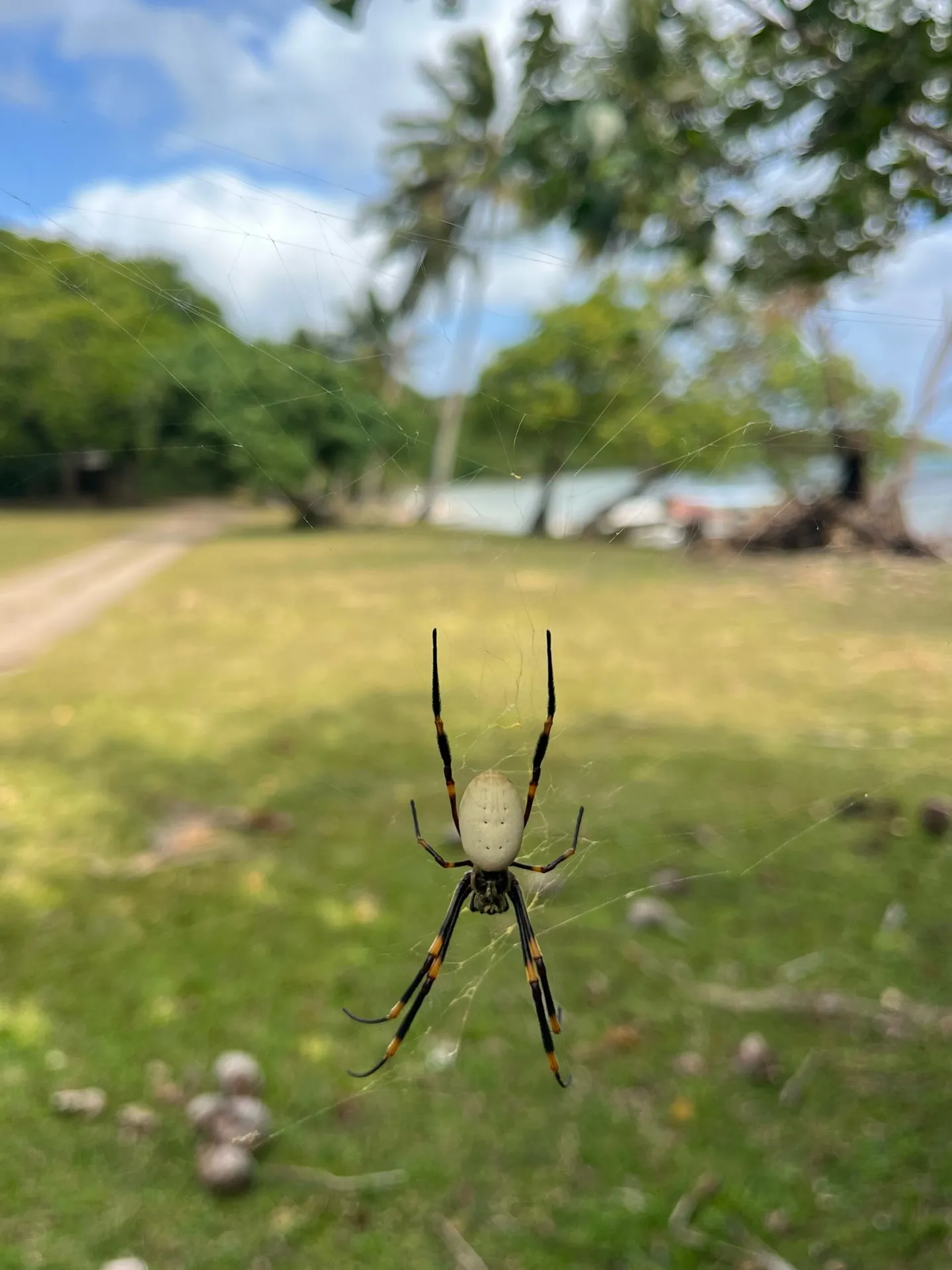 A not-so-friendly resident. A not-so-friendly resident.