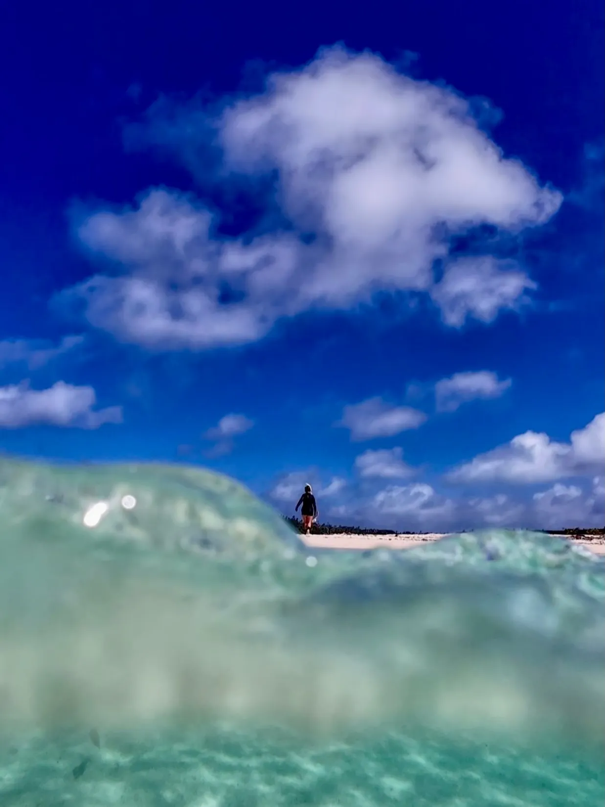 Just back from an amazing snorkel. Just back from an amazing snorkel.