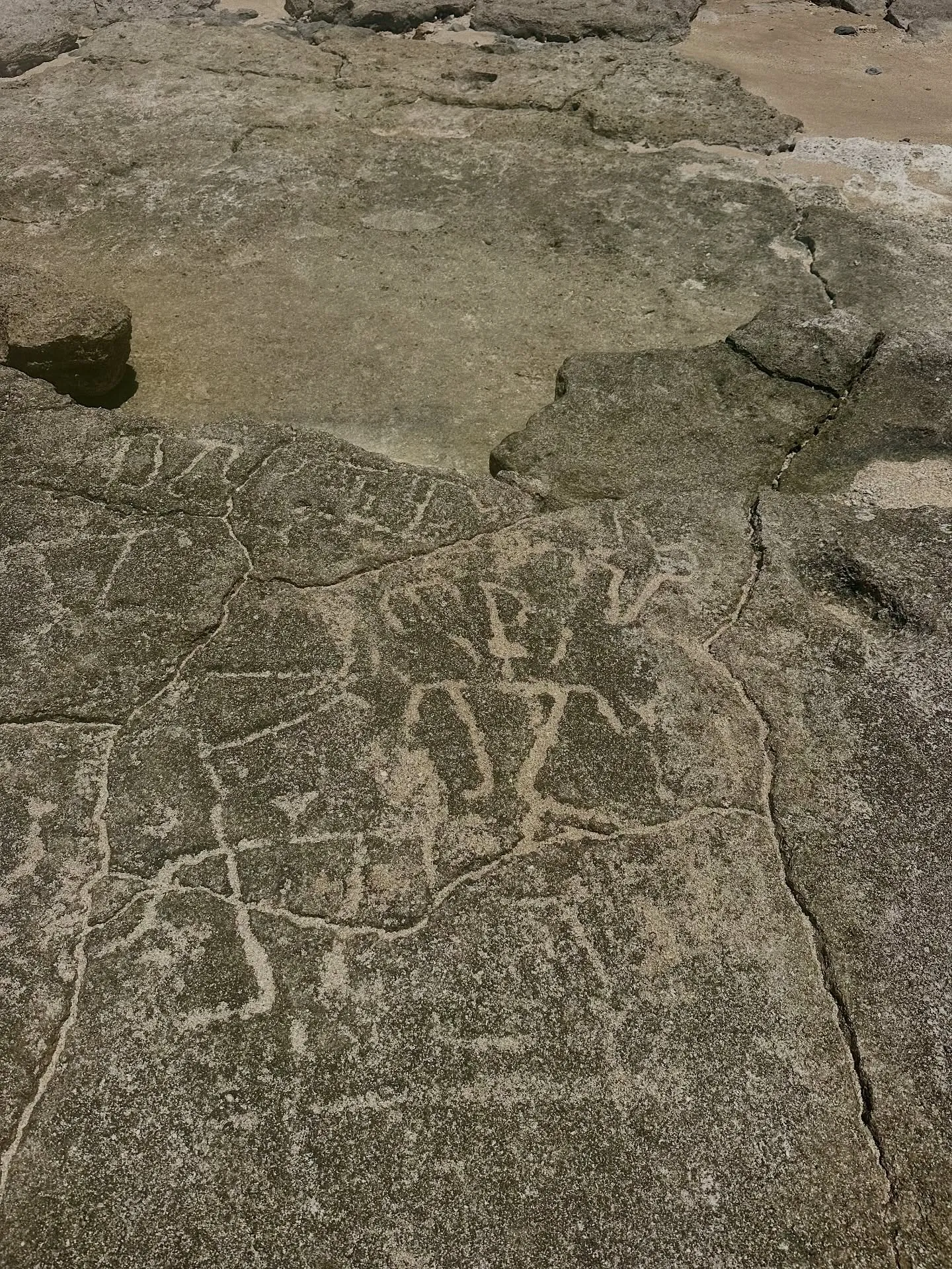 The petroglyphs up close. The petroglyphs up close.