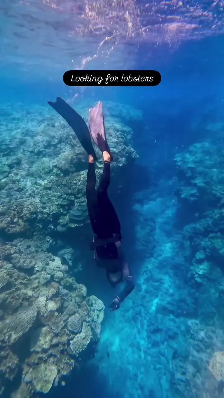 Diving in Minerva Reef. Diving in Minerva Reef.