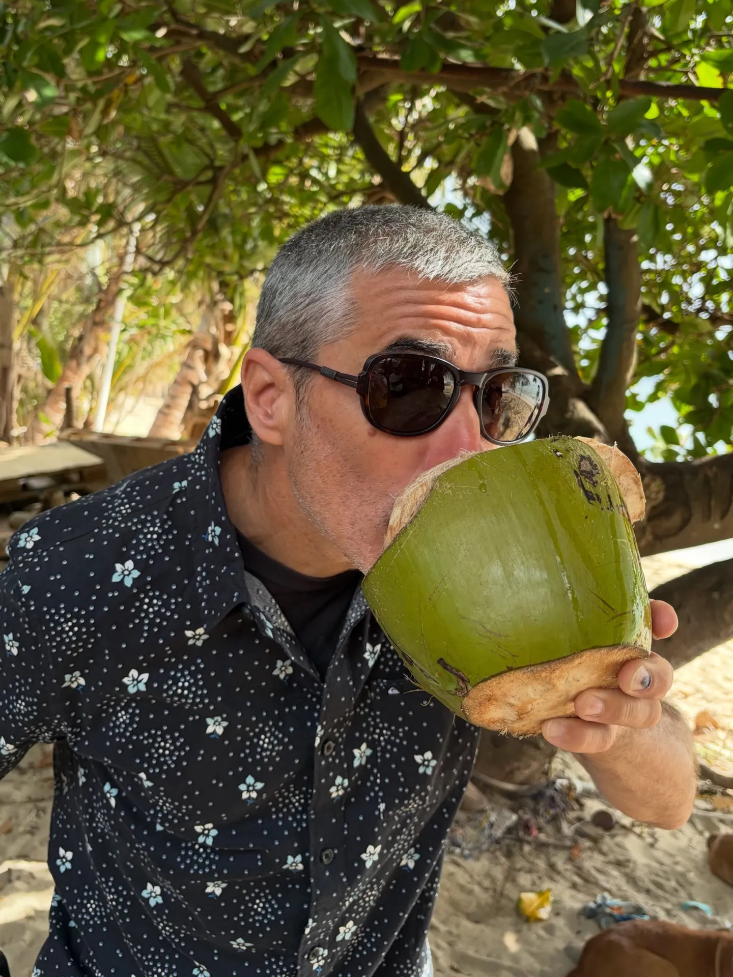 Fresh coconut on the beach. Fresh coconut on the beach.