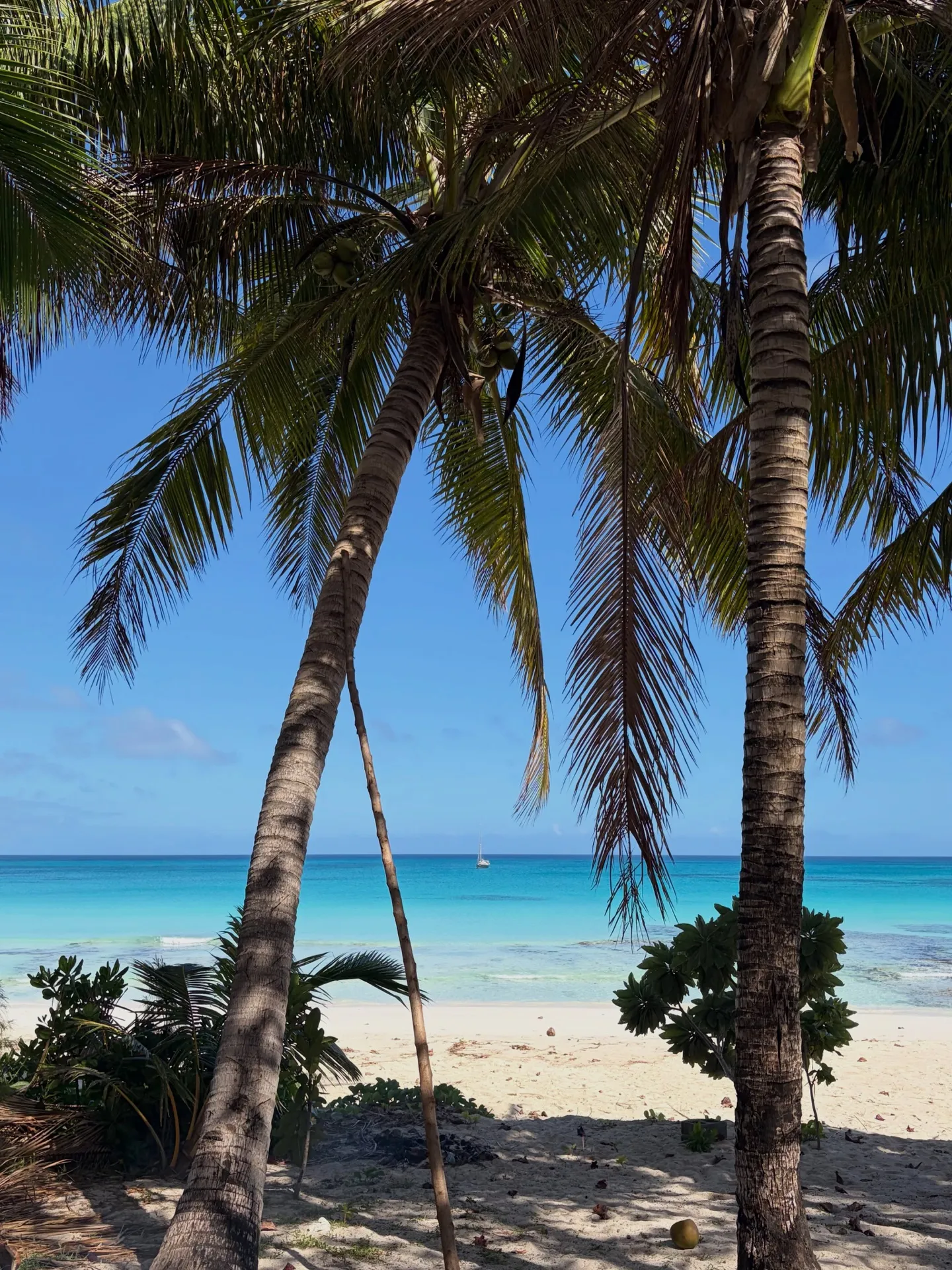 Talcum-powder sand and turquoise water. Talcum-powder sand and turquoise water.