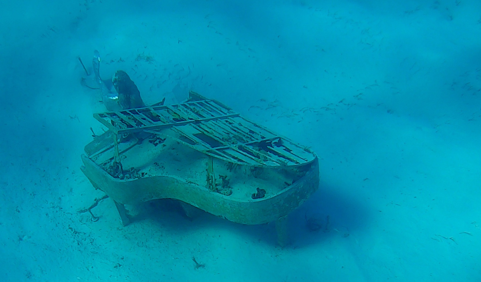 David Copperfield-inspired underwater: The Musician sculpture.