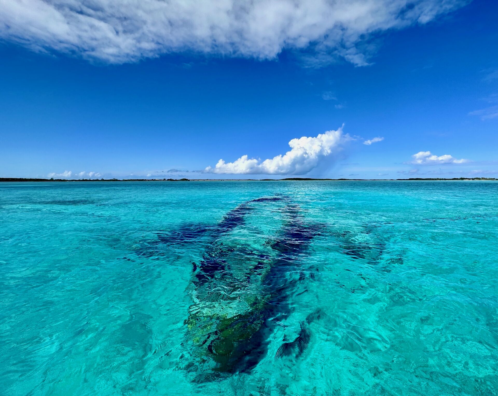 Snorkelling the drug kingpin plane.