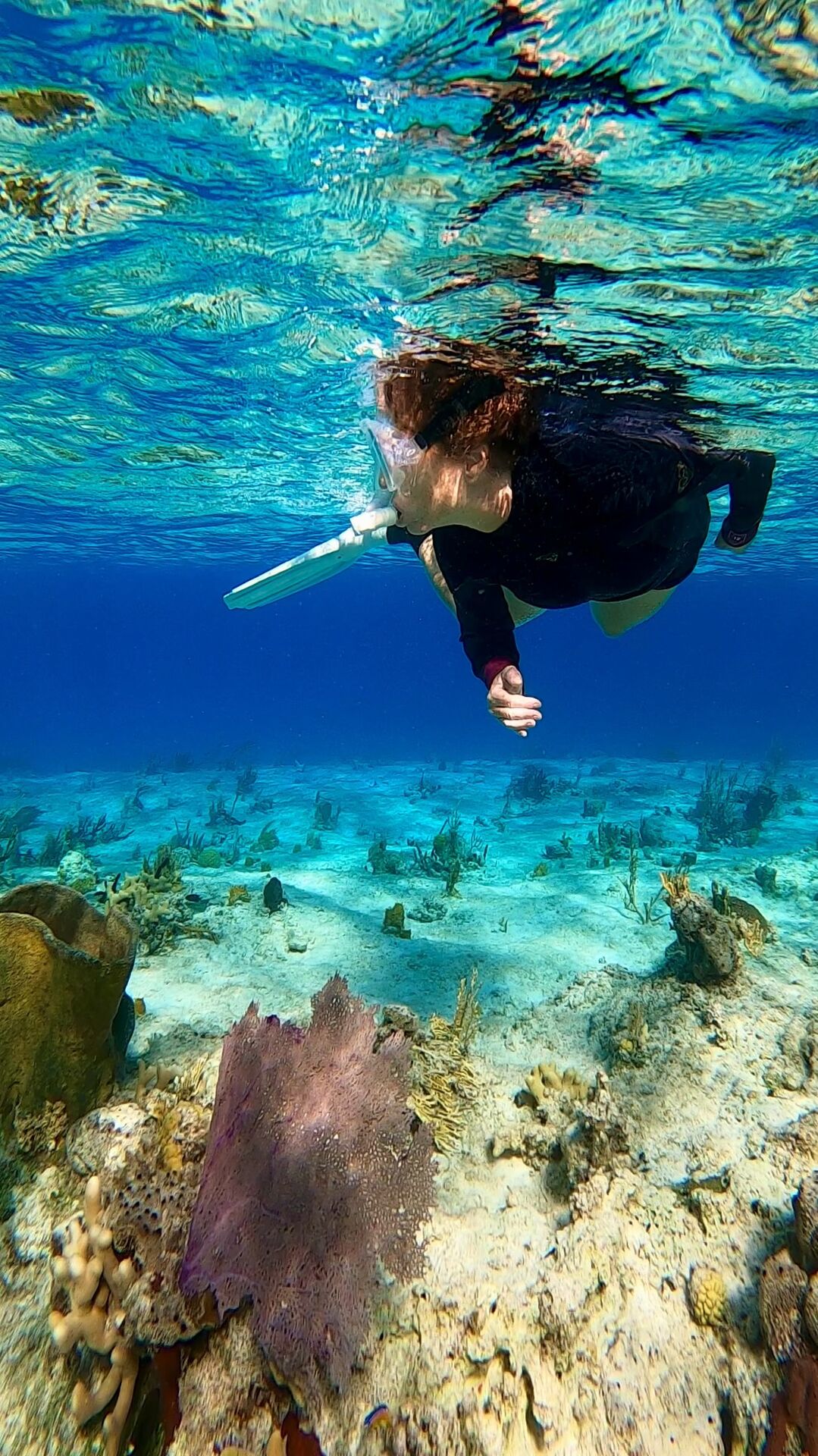 A cavernous snorkelling highlight among coral and lots of colorful fish.