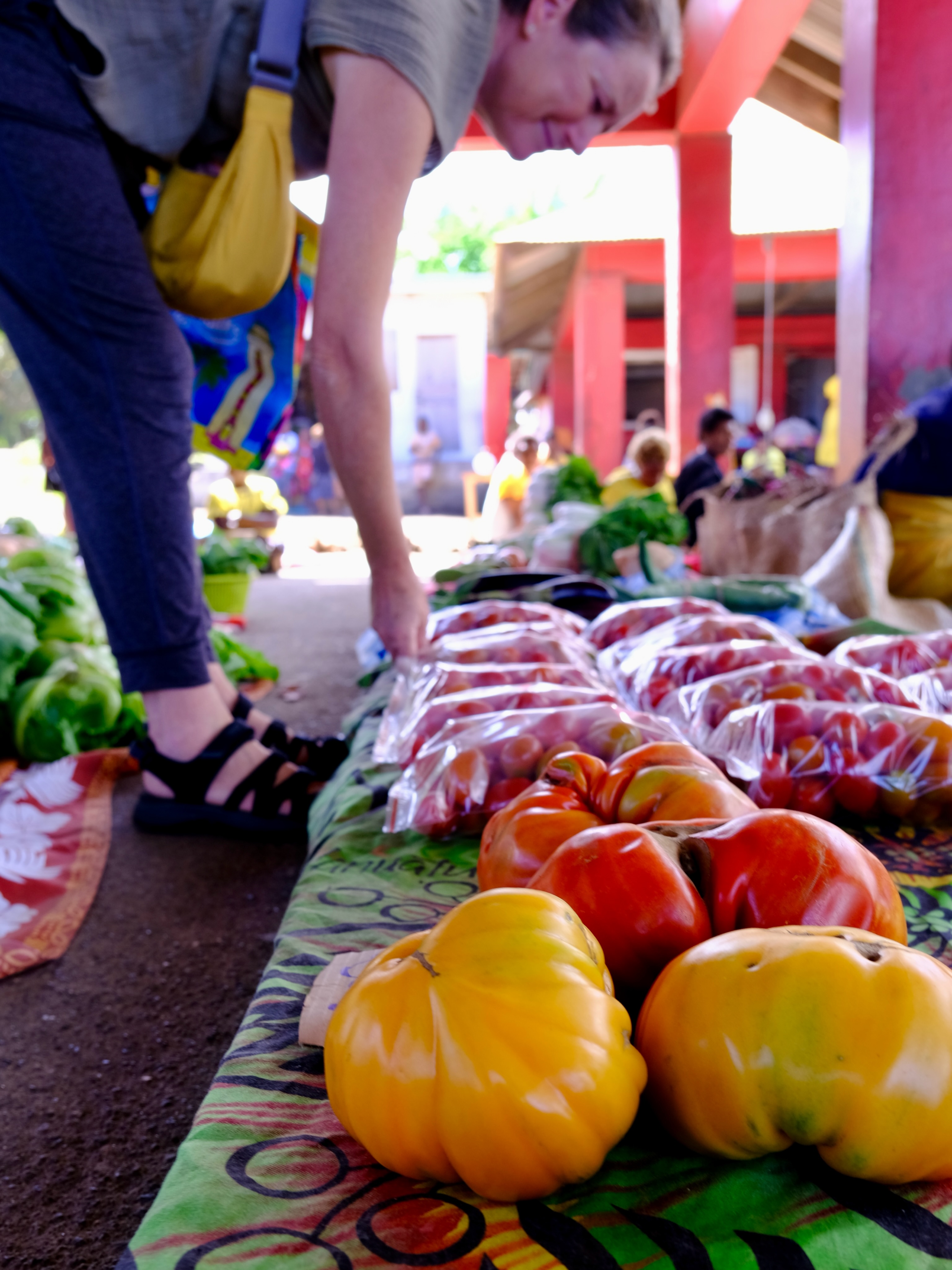 It’s market day on the island of Tanna and Scout badly needs to re-provision.