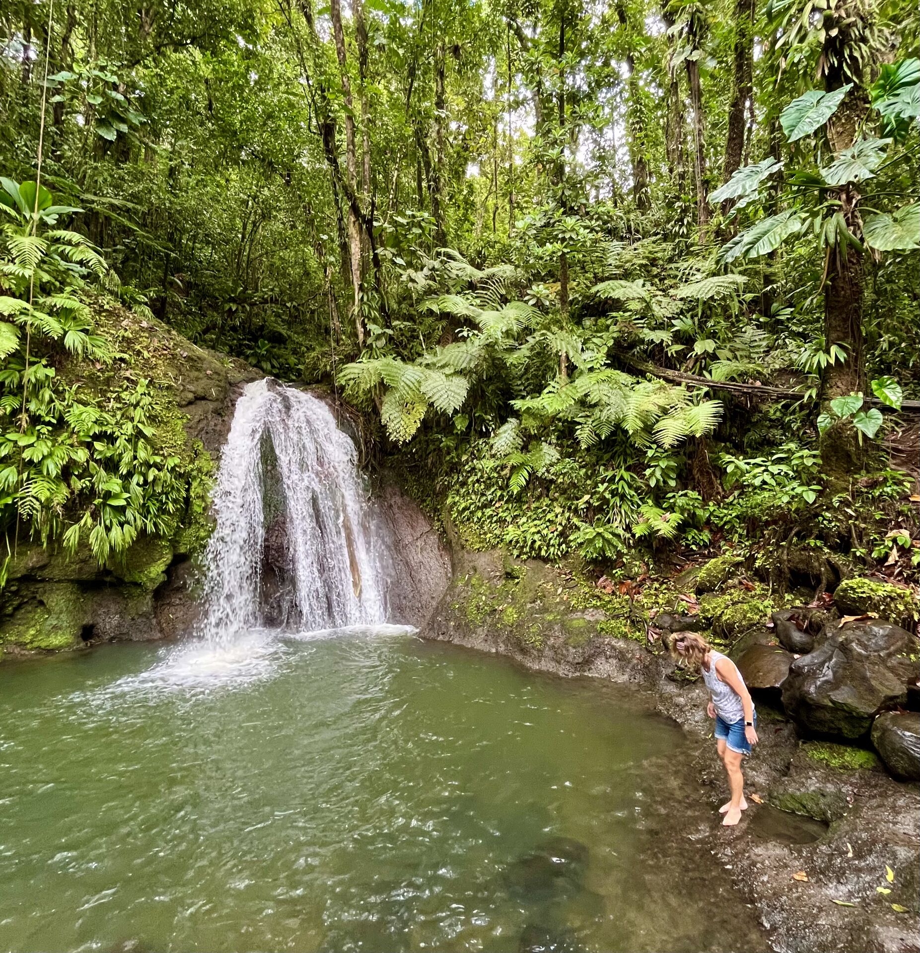 Guadeloupe is very green.